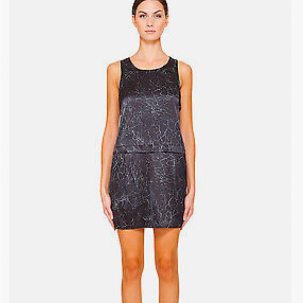 Theory Dress Shaima Cracked Leather Print Silk